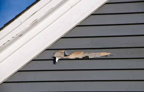 Best Shed Removal  in Fultonde, AL